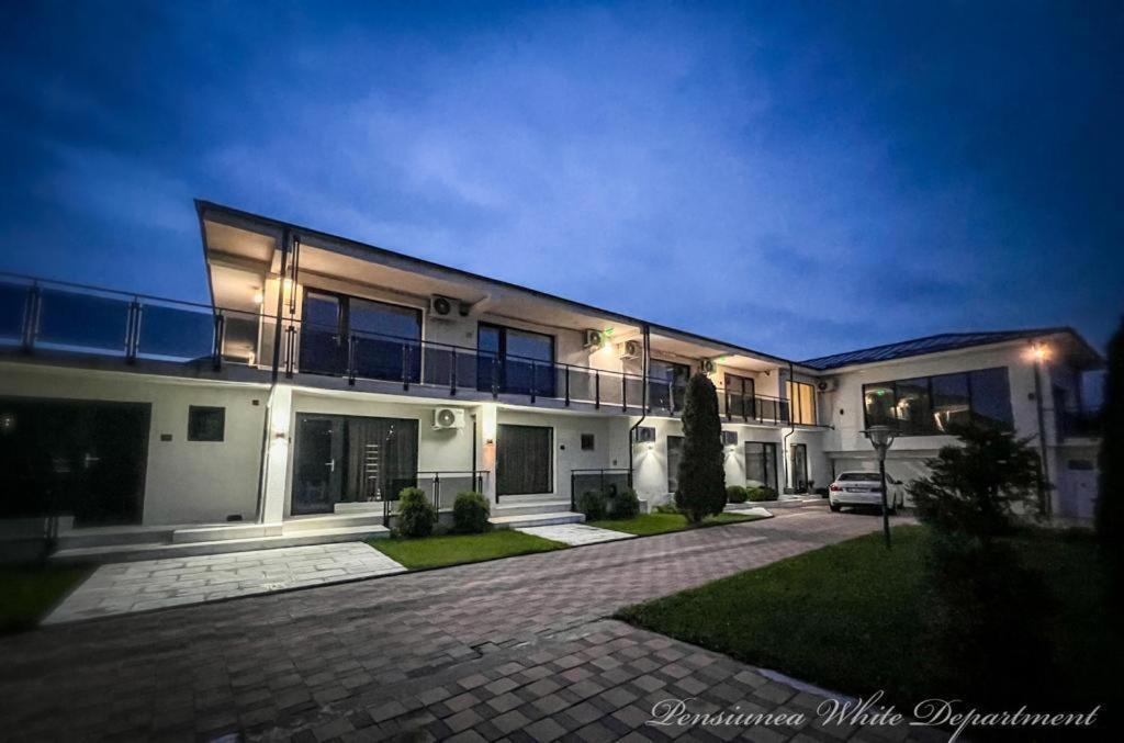 Pensiunea White Department Vladesti Ngoại thất bức ảnh
